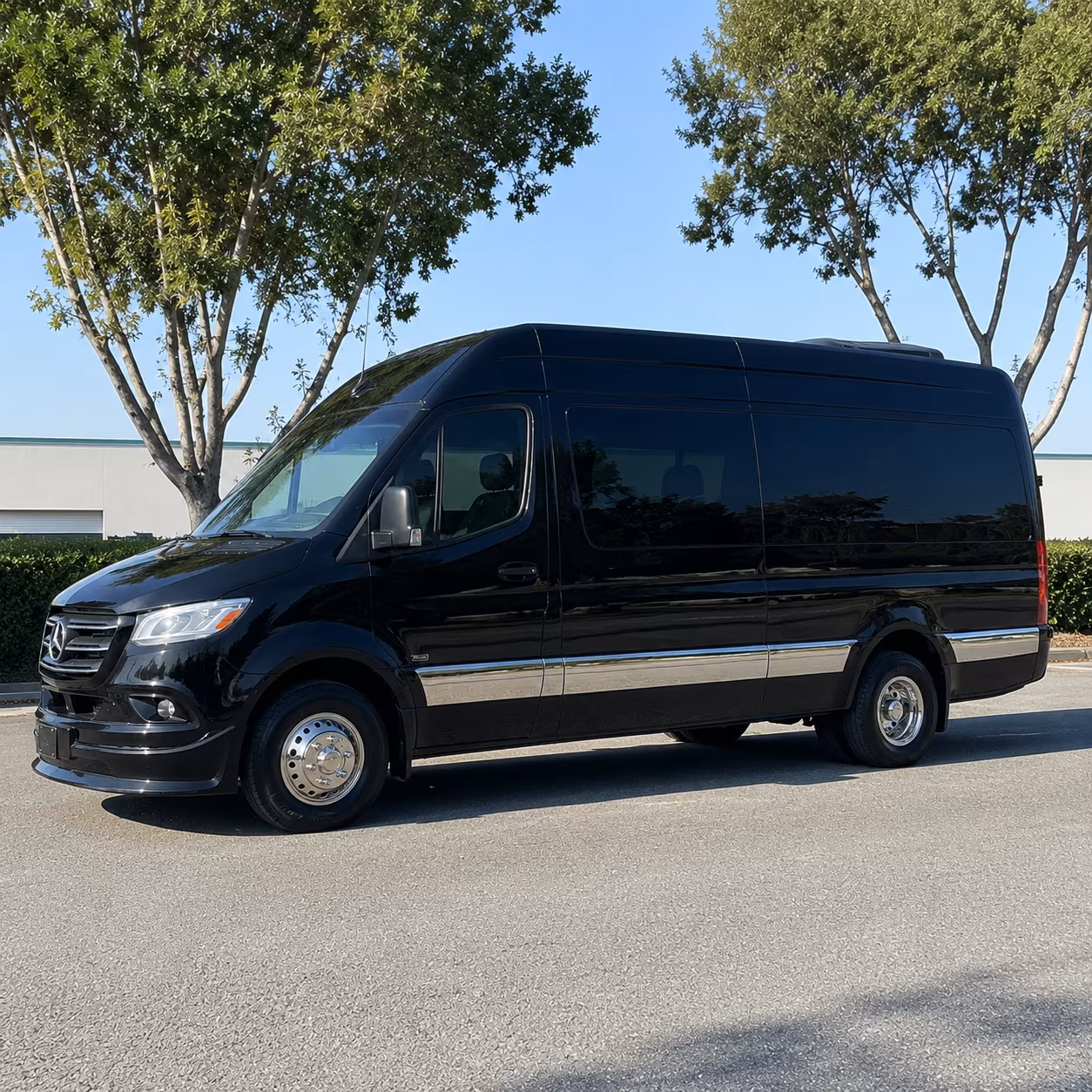 dayton sprinter van with driver